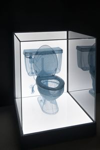 Specimen Series: 348 West 22nd Street, APT. New York, NY 10011, USA - Toilet by Do Ho Suh contemporary artwork sculpture