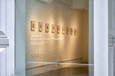 Exhibition view: Nobuyoshi Araki, Polaroids, SHOP Taka Ishii Gallery, Hong Kong (4 September–10 October 2021). Courtesy of SHOP Taka Ishii Gallery. Photo: Anthony Kar-Long Fan