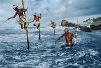 Stilt fishermen, Weligama, South Coast, Sri Lanka by Steve McCurry contemporary artwork