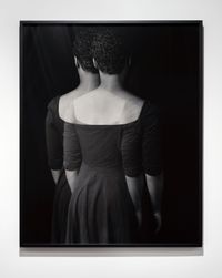 Double Negative by Lorna Simpson contemporary artwork photography