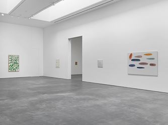 Exhibition view: Raoul De Keyser, Drift, David Zwirner, New York (18 March–23 April 2016). Courtesy David Zwirner, New York.