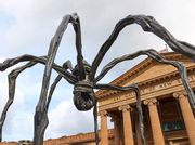 Louise Bourgeois at Art Gallery of New South Wales