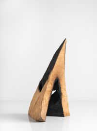 Hood by David Nash contemporary artwork sculpture