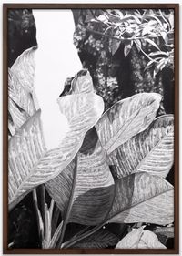 Toda escritura comienza en una selva VI / All Writing Begins in a Jungle VI by Jorge Méndez Blake contemporary artwork works on paper, drawing
