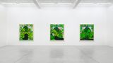Contemporary art exhibition, Carroll Dunham, Qualiascope Paintings and Related Drawings at Galerie Eva Presenhuber, Maag Areal, Zürich, Switzerland