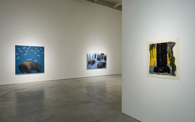 Exhibition view: Zhang Hongtu, If Bison Can Dream, Tina Keng Gallery, Taipei (27 November 2021–22 January 2022). Courtesy Tina Keng Gallery.         