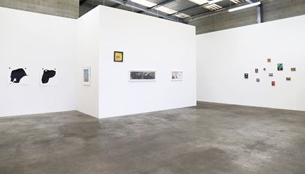 Exhibition view: Braunias, Hood & Martin, Jonathan Smart Gallery, Christchurch (28 June–29 July 2017). Courtesy Jonathan Smart Gallery. 
