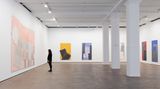 Contemporary art exhibition, Sam Moyer, WIDE WAKE at Sean Kelly, New York, USA