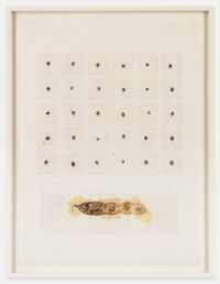 Seed Calendar: Baja Pod by Michelle Stuart contemporary artwork painting