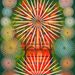 Philip Taaffe contemporary artist