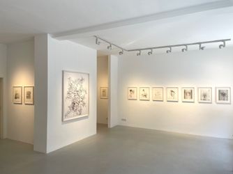 Exhibition view: Walter Schels,  Blumen,  Galerie—Peter—Sillem, Frankfurt (4 September–23 October 2021). Courtesy Galerie—Peter—Sillem.