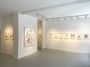 Contemporary art exhibition, Walter Schels, Blumen at Galerie—Peter—Sillem, Frankfurt, Germany