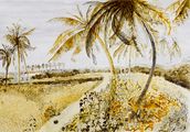 Postcards from Africa: Avenue of coconuts, Nigeria by Sue Williamson contemporary artwork 2