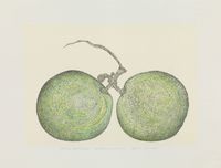 Revival Series II #6 Grapes Connection by Eddie Lui contemporary artwork works on paper, drawing