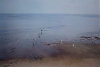 Cape Cod by Harry Callahan contemporary artwork photography