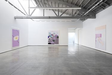 Exhibition view: Michael Williams, Fructis, David Kordansky Gallery, Los Angeles (7 September–20 October 2018). Courtesy David Kordansky Gallery, Los Angeles. Photo: Jeff McLane.