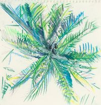 Palm Bömbchen by Erik Schmidt contemporary artwork works on paper, drawing