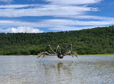 The Magnificent Seven Art Sites: Château La Coste