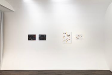 Exhibition view: Sarah Chilvers, Bartha Contemporary, London (16 March–1 April 2023). Courtesy Bartha Contemporary.