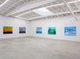 Contemporary art exhibition, Tabboo!, Nothing but blue skies from now on at Karma, Los Angeles, United States