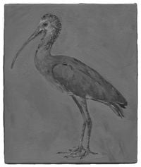 Detected Dictionary ( Ibis ) by Stefan à Wengen contemporary artwork painting