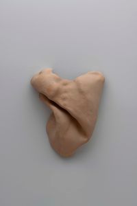 Studies for potential metamorphoses III by Yaşam Şaşmazer contemporary artwork sculpture