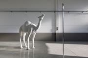 Camel (Albino) Contemplating Needle (Large) by John Baldessari contemporary artwork 3