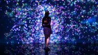Flowers and People, Cannot be Controlled but Live Together – A Whole Year Per Year, by teamLab contemporary artwork moving image