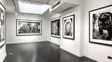 Contemporary art exhibition, David Yarrow, In Focus: An Immersive Digital Exhibition at Maddox Gallery, Maddox Street, London, United Kingdom