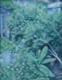 Wings Caressed by the Wind by Lee Chihsiang contemporary artwork painting