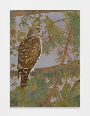 Hawk Visitor (3) by Hayley Barker contemporary artwork painting