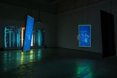 Exhibition view: Hsiung Cheng-Kai and Mao Haonan, CONTINUOUS TERMINUS: 持续终点, ShanghART M50, Shanghai (17 August–7 October 2018). Courtesy ShanghART.