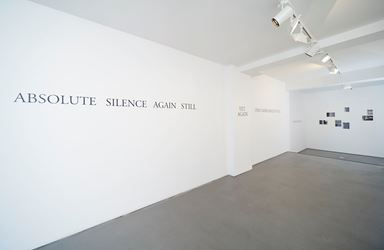 Exhibition view: Ayesha Jatoi, More Silence, Sabrina Amrani Gallery (13 March–20 April 2013). Courtesy Sabrina Amrani Gallery.