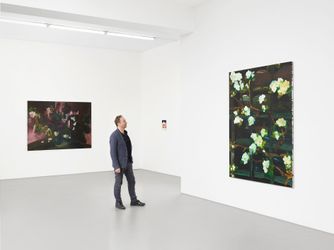 Exhibition view: Clare Woods, Silent Sprint, Buchmann Galerie, Berlin (3 November–22 December 2023). Courtesy Buchmann Galerie.