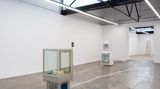 Contemporary art exhibition, Alicia Frankovich, Spaces of Life at 1301SW, Melbourne, Australia