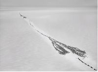 Ob River, Arctic Circle by Sebastião Salgado contemporary artwork photography
