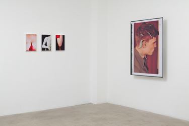 Exhibition view: Amie Dicke, ONE-LINER, Anat Ebgi, Los Angeles (11 January–16 February 2020). Courtesy Anat Ebgi.