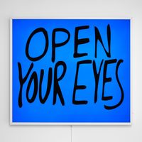 Open Your Eyes by Sam Durant contemporary artwork mixed media