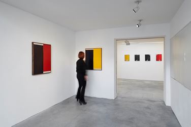 Exhibition view: Johnny Abrahams, Making Flowers Alive, Choi&Lager Gallery, Cologne (28 February–26 April 2020). Courtesy Choi&Lager Gallery.