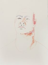 Myu by Ben Quilty contemporary artwork drawing