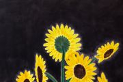 A sunflower with lots of heads by Andrew Sim contemporary artwork 4