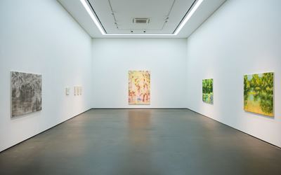 Exhibition view: Maruyama Naofumi, Flowing, Wooson Gallery, Daegu (6 July–15 September 2017). Courtesy Wooson Gallery.