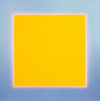 Darkroom, the yellow we made by Garry Fabian Miller contemporary artwork print
