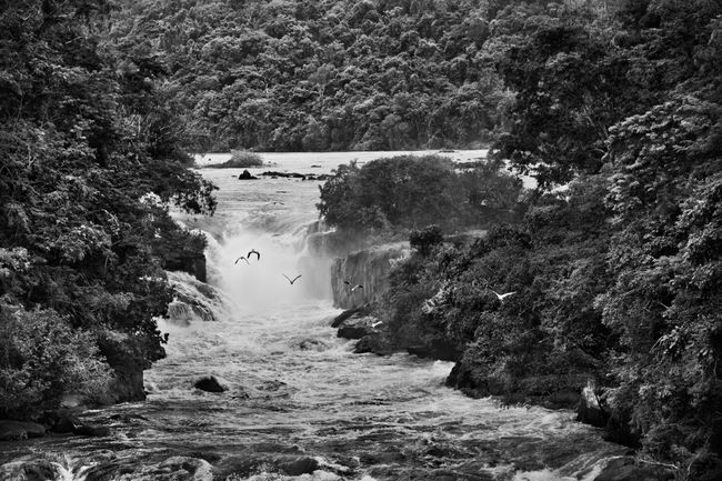 Waterfall on the Erepecuru River, near the mountains between Brazil and Suriname, Zo’é Indigenous Territory, state of Pará, Brazil by Sebastião Salgado contemporary artwork