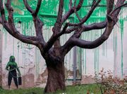 Banksy Gives North London Cherry Tree Graffiti Foliage
