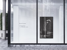 David NoonanXavier Hufkens