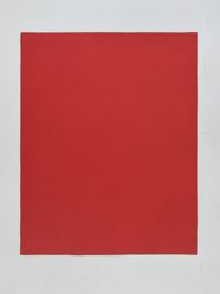 16 X 20 Perimeter of Little Fat Flesh - Red by Inga Svala Thórsdóttir & Wu Shanzhuan contemporary artwork works on paper