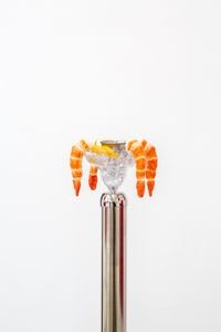 Timeless Symbols (Shrimp Cocktail) by Andrew J. Greene contemporary artwork sculpture