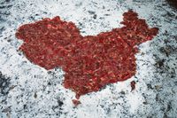 Meat Map I-IV by Charwei Tsai contemporary artwork photography, print