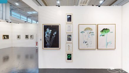 Exhibition view: Galerija Fotografija, MIA – Milan Image Art Fair (7–10 October 2021). Courtesy Galerija Fotografija, Ljubljana.
